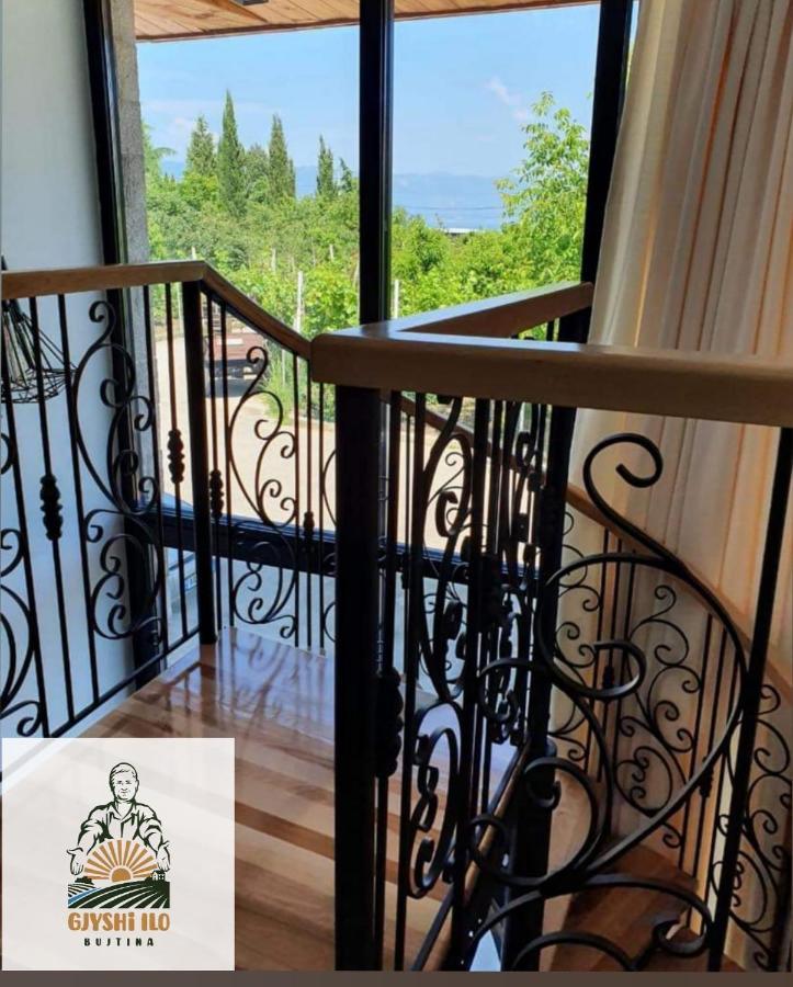 Bujtina Gjyshi Ilo Hotel Tushemisht ภายนอก รูปภาพ